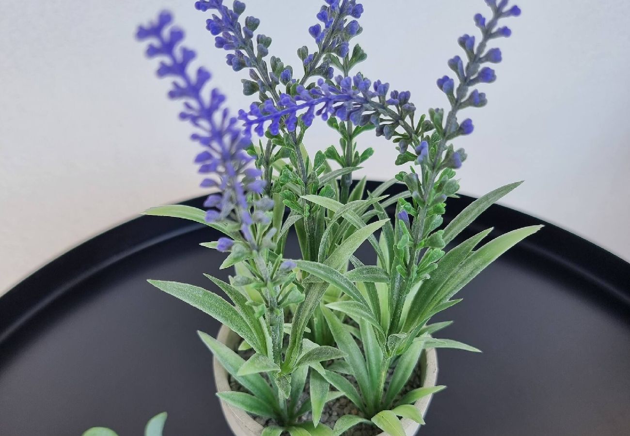 Lejlighed i Mijas Costa - 3 værelses familie suite i Las Lagunas